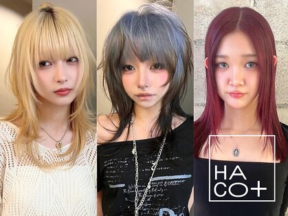 ハコ プラス(HACO+)の写真