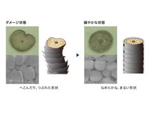 大人の髪を知り尽くしたプロ集団。経験豊富な実力派スタイリストが、あなたの魅力を最大限に引き出す