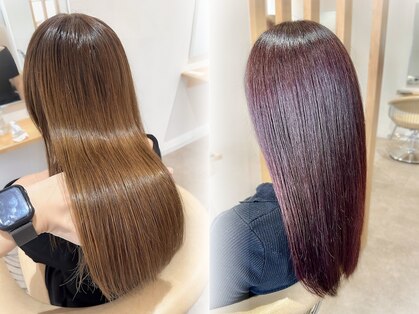 リノ(Lino)の写真