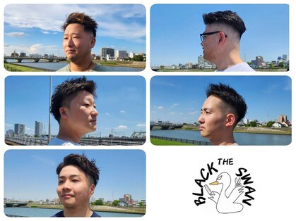 スワンの写真