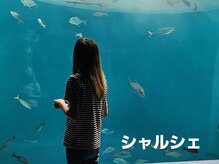 シャルシェ(Chercher)