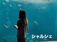 シャルシェ(Chercher)の写真
