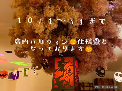 キースヘアー(K-S hair)の写真