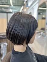 アオカマクラ(a-o Kamakura)&nbsp;－5歳ナチュラルショボブ