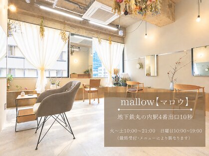 マロウ(mallow)の写真