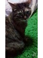ゼル ビッグアイ(ZELE) 猫好き☆