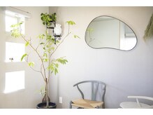 リラックスアンドヘアサロン リモ(Relax&Hair Salon Rimo)の雰囲気（緑いっぱいのオシャレな空間♪♪）