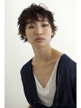 プレディカ(pledica) AI1213