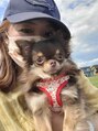 サロンドフィール(Salon de feel) 愛犬あずき♪可愛すぎて毎日の癒し♪♪