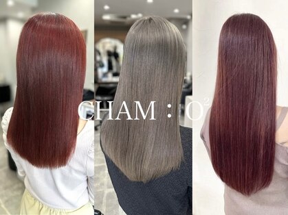 シャムオーツー 国分寺(CHAM:O2)の写真