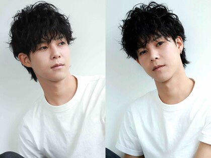 クーシ(kuusi)の写真