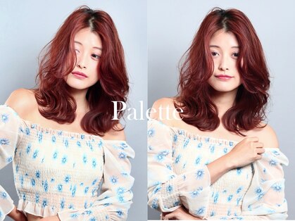パレット(PALETTE)の写真