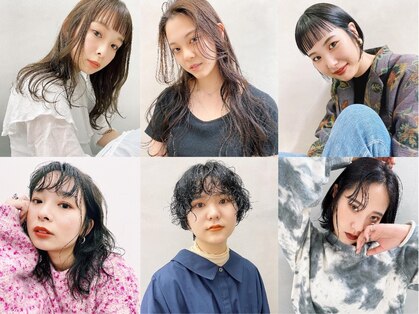 キピ(KIPI)の写真