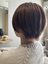 本と南風 guest design