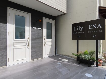 リリー(Lil'y)の写真