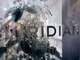 ビリジアン(VIRIDIAN)の写真