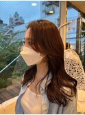 【DIFINO青山】上品な韓国へア
