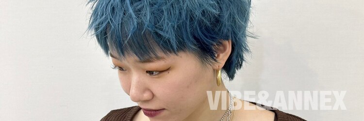 バイブアンドアネックス(VIBE & ANNEX)のサロンヘッダー
