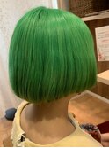ダブルカラー,グリーン,エメラルドグリーン【草加】