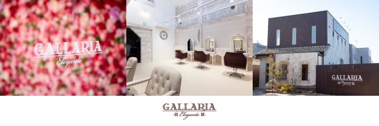 ガレリアエレガンテ 可児店(GALLARIA Elegante)のサロンヘッダー