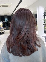 ステア ケース(stair case)&nbsp;レッド／ハイライト/ナチュラル