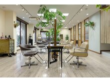 バランス Balanceの雰囲気（広い空間と日差しが差し込む明るい店内。）
