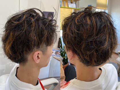 キーネヘアコレクションの写真