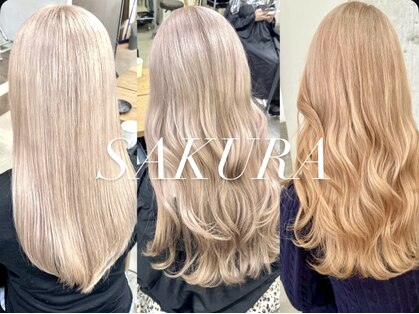 サクラ オモテサンドウ(SAKURA)の写真