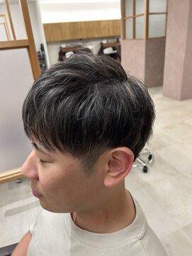 エクテ(ecouter) シルバーメッシュ