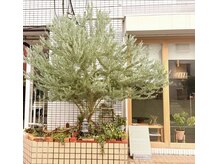 スガミ(sugami)の雰囲気(10年後も綺麗に薬剤にこだわり一人一人に合わせて施術いたします)