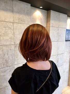 ステラプレミアム(Steller PREMIUM) アプリコツトオレンジ　ミディアム