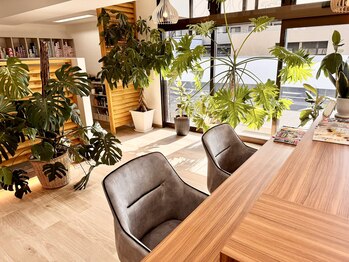 エスモード(S mode)の写真/大型店が苦手な大人の女性へ。緑に包まれた空間で至福のリラックスタイム♪