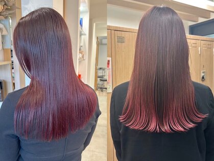 リサプラン(RISA plan)の写真