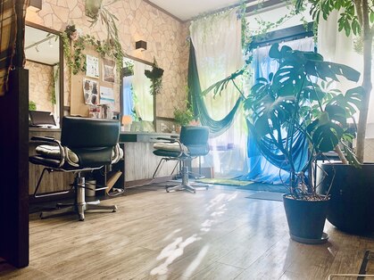 プティ ボワ(Petit bois)の写真