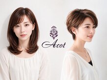 アコット(Acot)