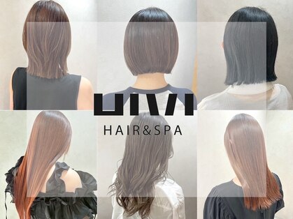 ハイヴィー(Hivi)の写真