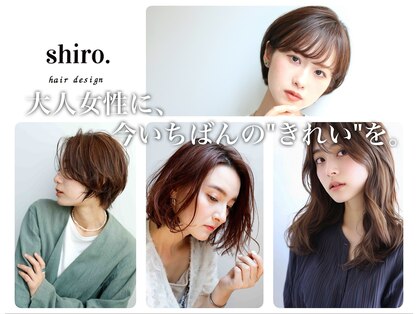 シロ(shiro.)の写真