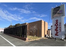 パパドゥー笛吹店(PaPaDoo)の雰囲気（日当たりが良く日差しの入る明るい店内です。）
