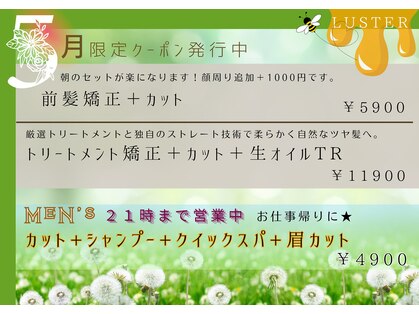 ラスター(LUSTER)の写真
