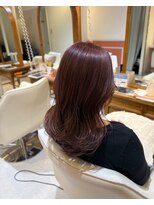 スペックホルダーミミ(Spec Holder mimi) カシスカラー10.09ハッシュカット