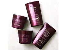 スティーブンノル取扱店。