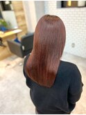 春カラー wine red〇本厚木
