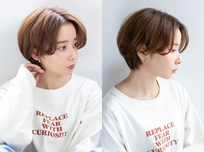 クーシ(kuusi)の写真