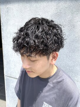 ノイセル(Noisyle) プードルパーマツイストピンパーマラルフカールサーフカールM