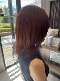 ミディアムウルフ