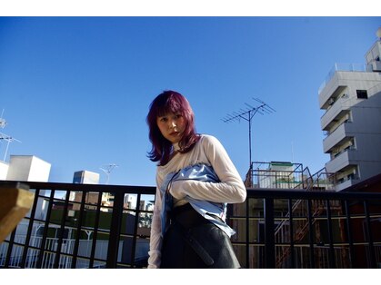 キジ(KIJI)の写真