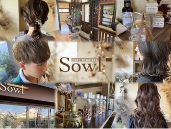 Hair creation Sowl