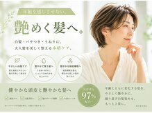 インショウ 中山駅本店(iNSYO)の雰囲気(大人女性の魅力は、髪艶で決まる。iNSYOの「新しい美髪習慣。」)