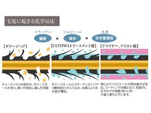 【ウルトワトリートメント】癖やボリュームを抑え扱いやすく、カラーの発色も向上。白髪抑制効果も◎