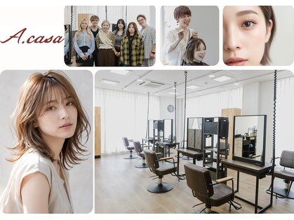アカサ(A.casa)の写真